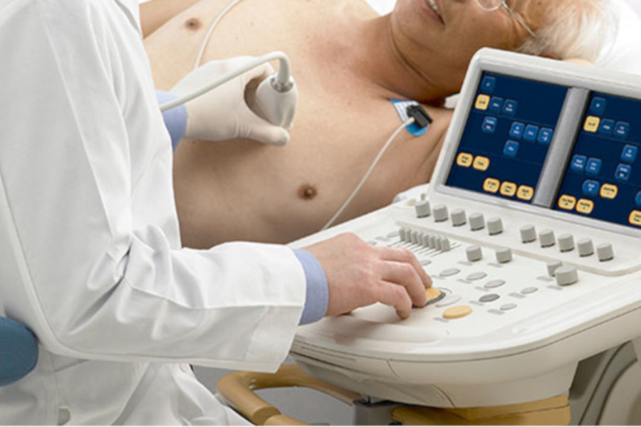 Torne-se um Professor Cetrus